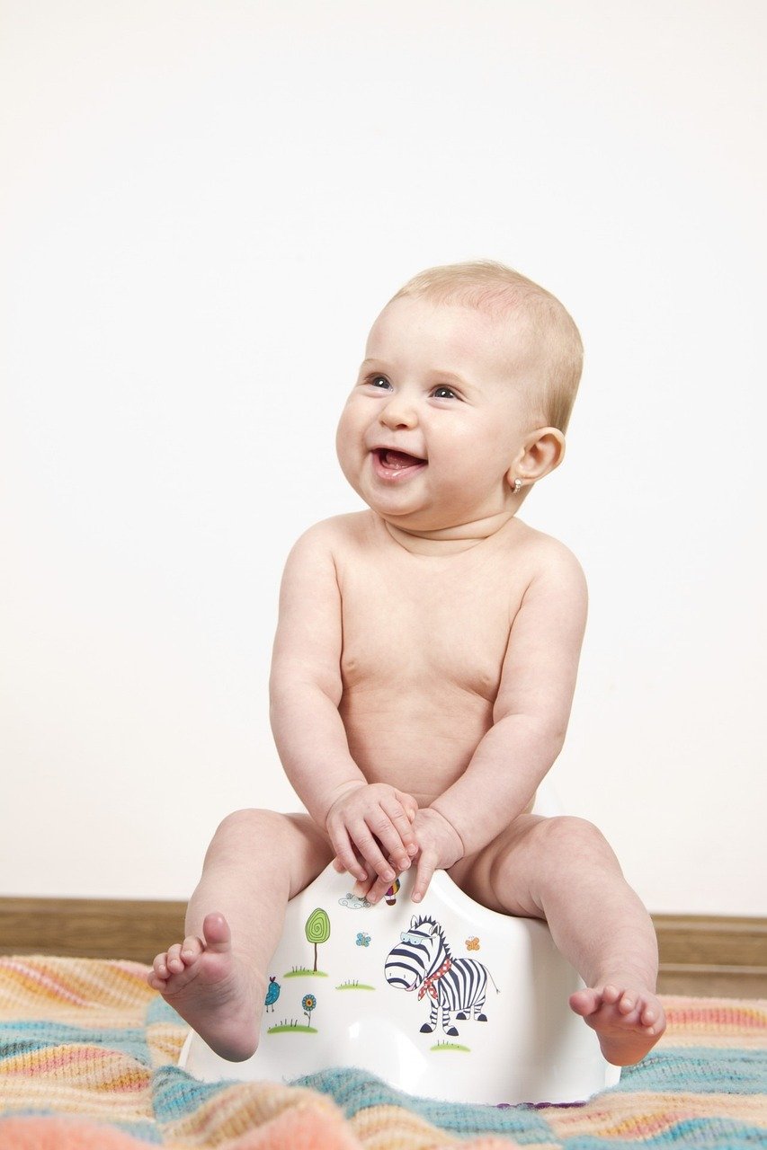 child, sitting, potty-316211.jpg